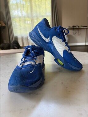 Nike Zoom Freak 4 TB in 'Game Royal' colorway - Size 8